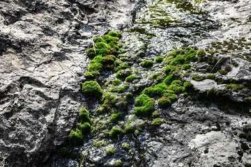 De ruta por el macizo de Tamadaba/Antonio Ali.